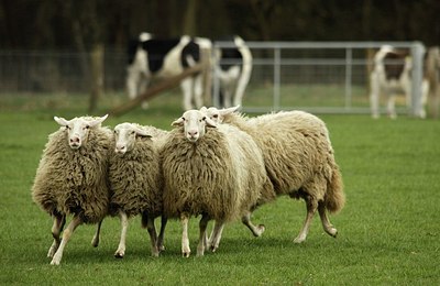 BUITEN BEELD Foto: 164949