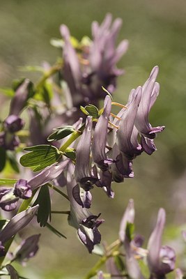 BUITEN BEELD Foto: 164958