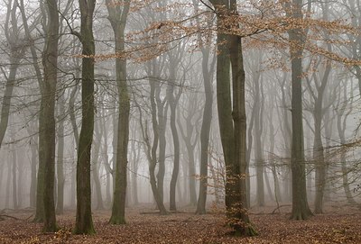 BUITEN BEELD Foto: 164975