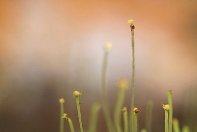 BUITEN BEELD Foto: 164976