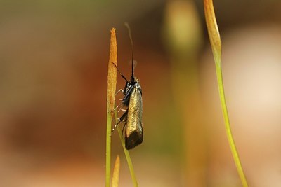 BUITEN BEELD Foto: 164995