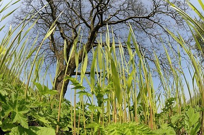 BUITEN BEELD Foto: 165037