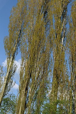 BUITEN BEELD Foto: 165043