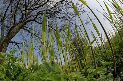 BUITEN BEELD Foto: 165058