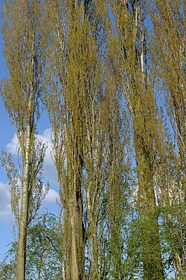 BUITEN BEELD Foto: 165060
