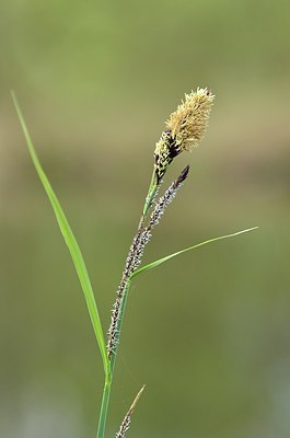 BUITEN BEELD Foto: 165080