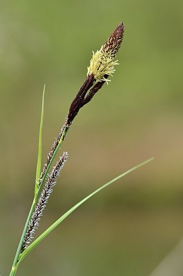 BUITEN BEELD Foto: 165082