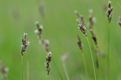 BUITEN BEELD Foto: 165088