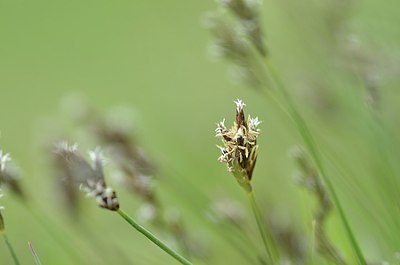 BUITEN BEELD Foto: 165089