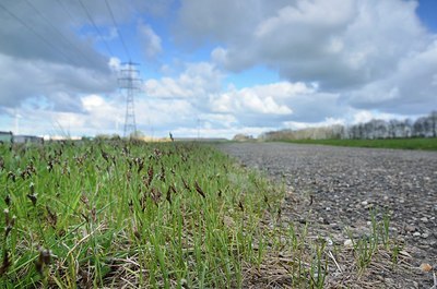 BUITEN BEELD Foto: 165090