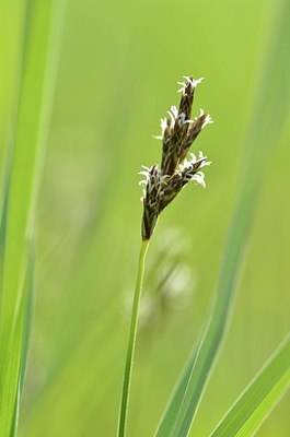 BUITEN BEELD Foto: 165092