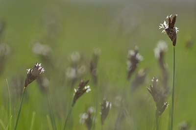 BUITEN BEELD Foto: 165093