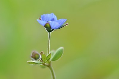 BUITEN BEELD Foto: 165096