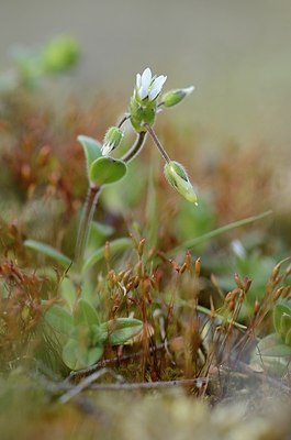 BUITEN BEELD Foto: 165106