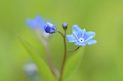 BUITEN BEELD Foto: 165124