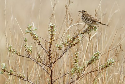 BUITEN BEELD Foto: 165126