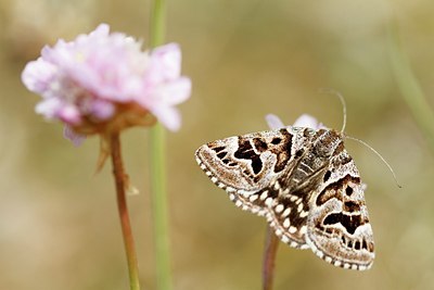 BUITEN BEELD Foto: 165145