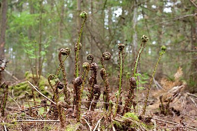 BUITEN BEELD Foto: 165166