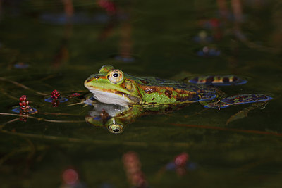 BUITEN BEELD Foto: 165169