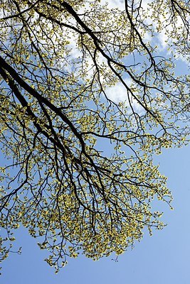 BUITEN BEELD Foto: 165179