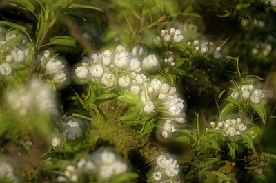 BUITEN BEELD Foto: 165216