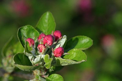 BUITEN BEELD Foto: 165221