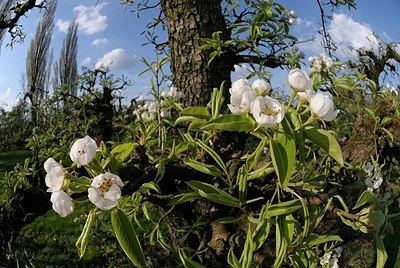 BUITEN BEELD Foto: 165226