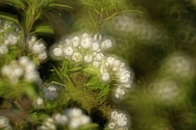 BUITEN BEELD Foto: 165243
