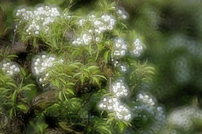 BUITEN BEELD Foto: 165271