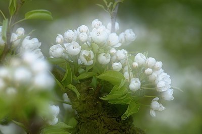 BUITEN BEELD Foto: 165273