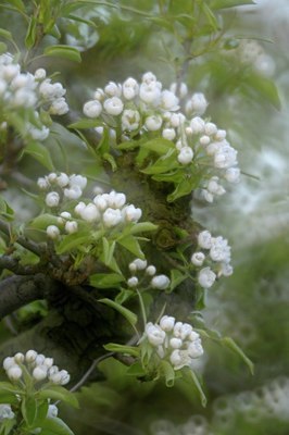 BUITEN BEELD Foto: 165274