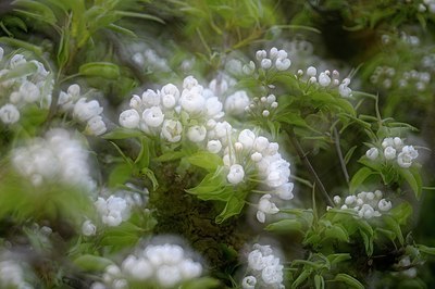 BUITEN BEELD Foto: 165275