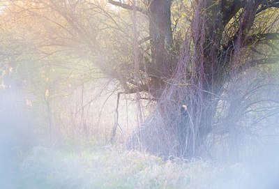 BUITEN BEELD Foto: 165280
