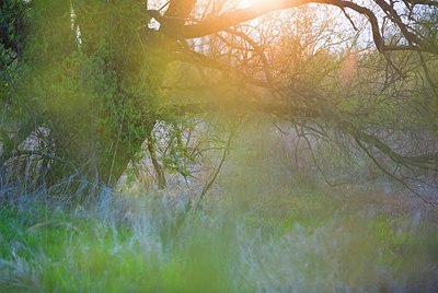 BUITEN BEELD Foto: 165283
