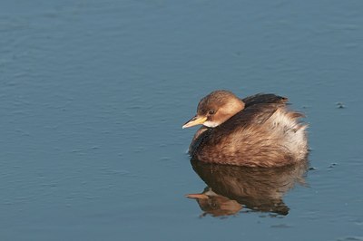 BUITEN BEELD Foto: 165316