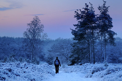 BUITEN BEELD Foto: 165317