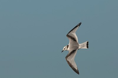 BUITEN BEELD Foto: 165323