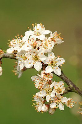 BUITEN BEELD Foto: 165335