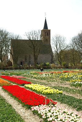 BUITEN BEELD Foto: 165337