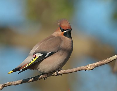 BUITEN BEELD Foto: 165353