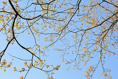 BUITEN BEELD Foto: 165375