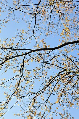 BUITEN BEELD Foto: 165377