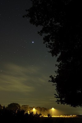 BUITEN BEELD Foto: 165380