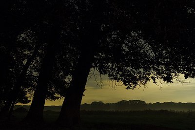 BUITEN BEELD Foto: 165389