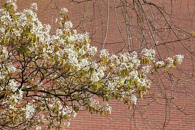 BUITEN BEELD Foto: 165390