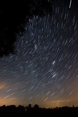 BUITEN BEELD Foto: 165392