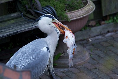 BUITEN BEELD Foto: 165441