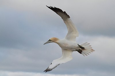 BUITEN BEELD Foto: 165444