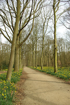BUITEN BEELD Foto: 165449