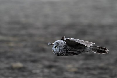 BUITEN BEELD Foto: 165459